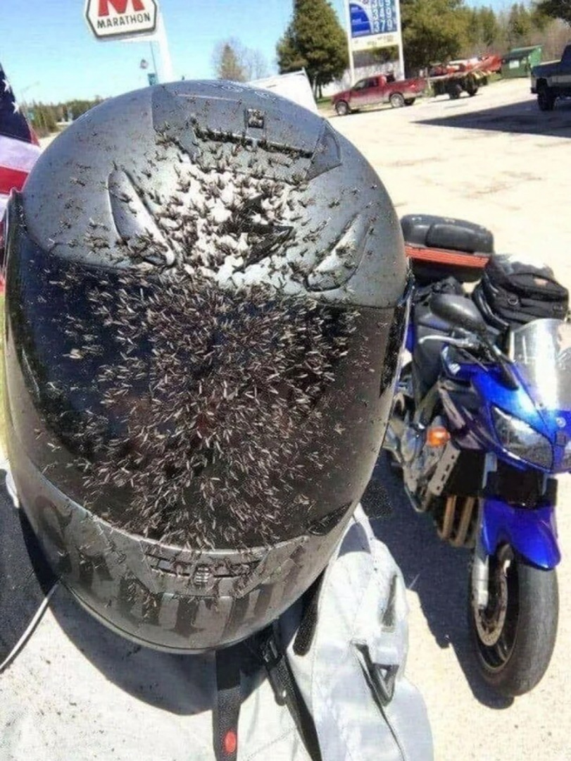 What do you use to clean your visor from insects?