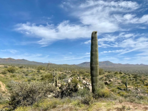 Awesome weather for ST!!