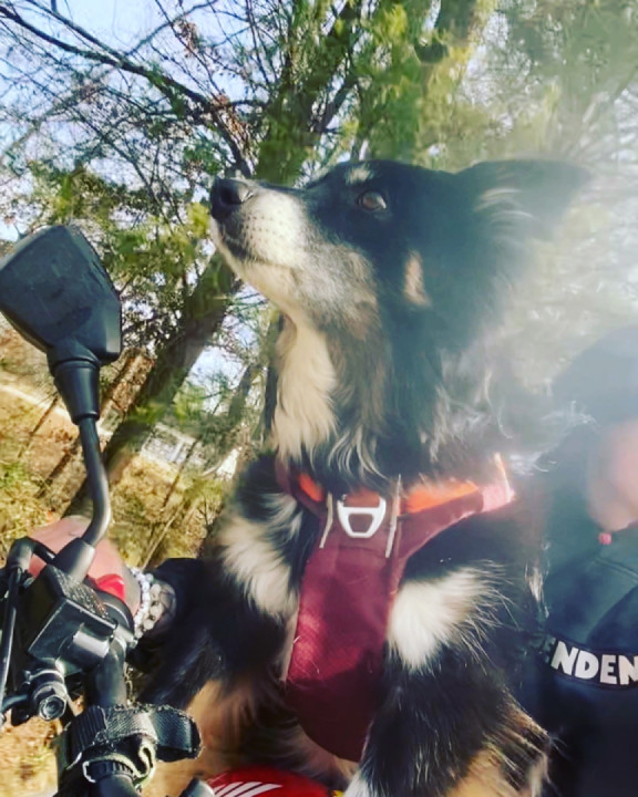 First bike I road from Portland down to la then I started heading east back home to Tennessee