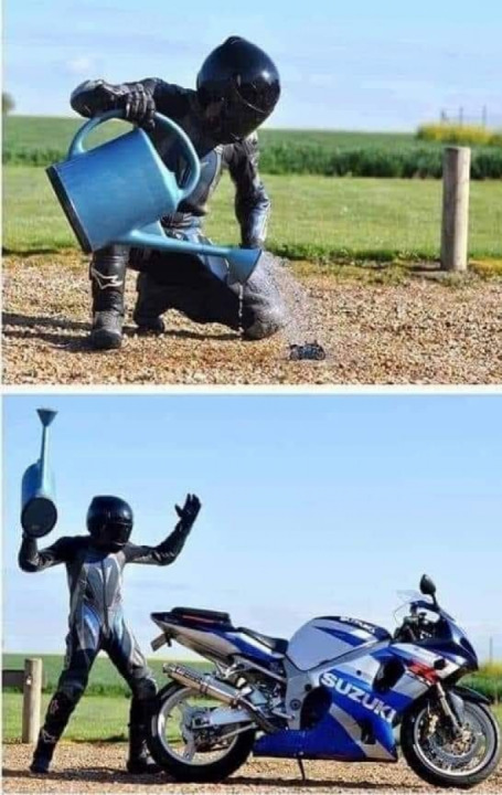 Make your dreams come true....?