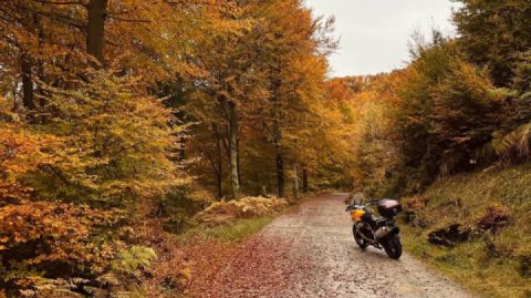 Autumn, the 
