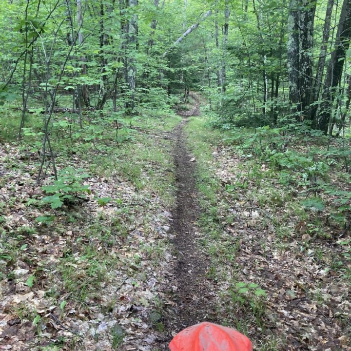 Another ripping day