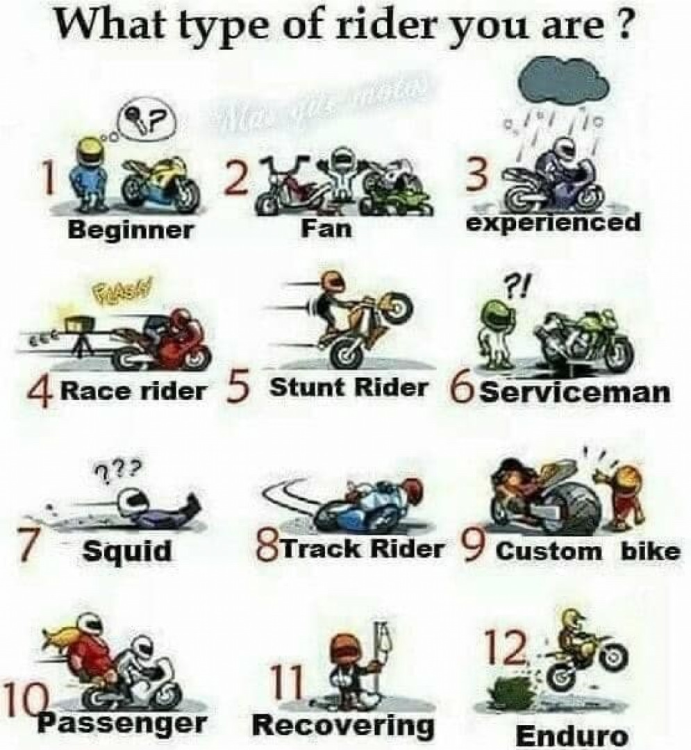 What type of rider you are?