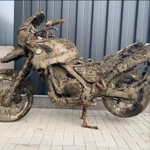 After 10 years under the sea ...a little charging, WD 40 and done ?