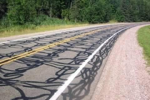 Road Snake ?
