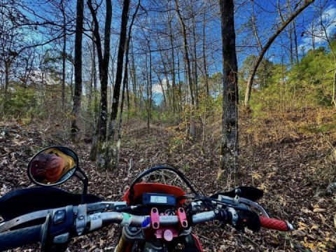 Found some new trails in the making today