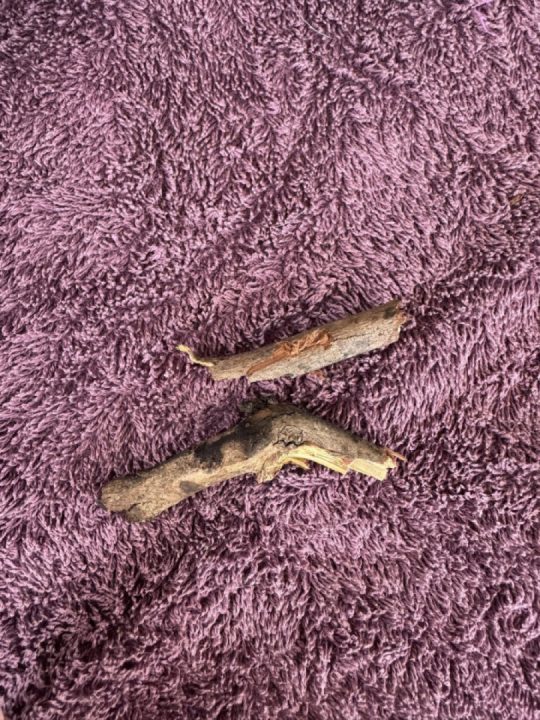 Went out riding yesterday, I heard a loud bang then a slapping noise