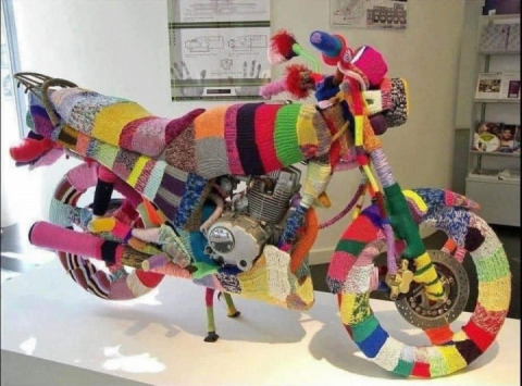 Shall I knit this to keep your wing warm??? ❤️❤️❤️