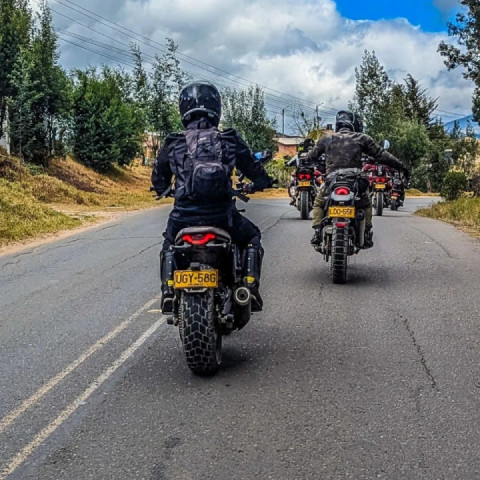 "It's not that I fell... it's that I like parking my bike with a panoramic view"