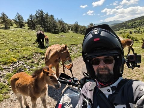 Actually, it was a beautiful day. ...if only I hadn't lost my camera bag 