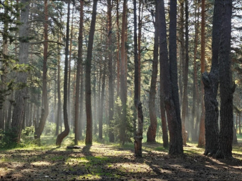 Second time camping this summer, love it