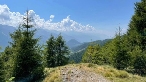 "a road less taken"...