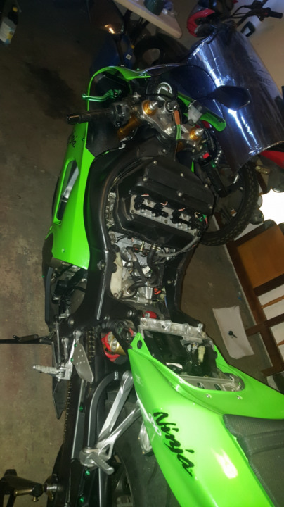 Give them the love they deserve ?