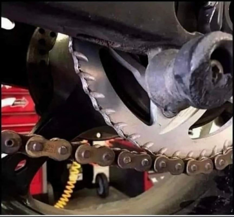 Almost ready for the new season!