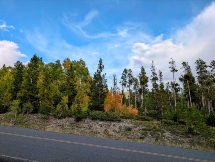 Just a chill post-work ride yesterday afternoon to see the leaves turning