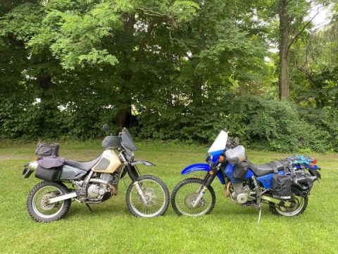 Decisions, decisions …‍♂️