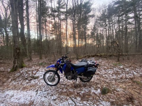 Rolling through January