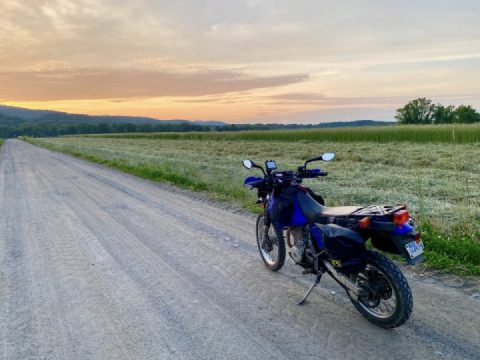 Out of the woods, for a change.