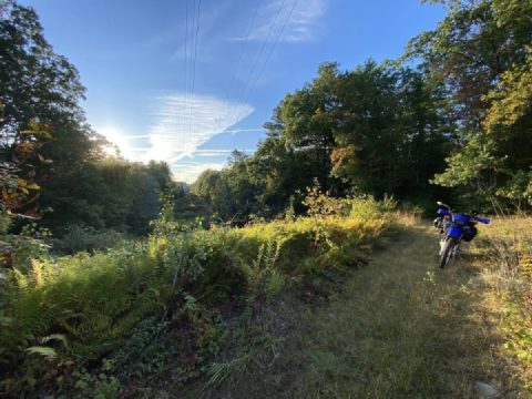 Golden hour detour du jour