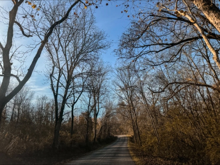 A chilly morning drive down the backroads