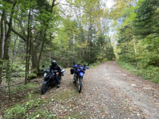 A quick poke on FR 325 in Vermont