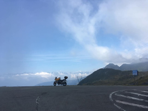 How beautiful is it to wander around in the early morning