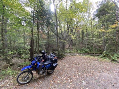 A quick poke on FR 325 in Vermont