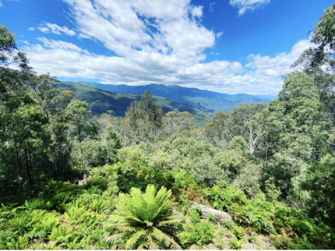 Snowy Mountains Ride (Day 2) 2020