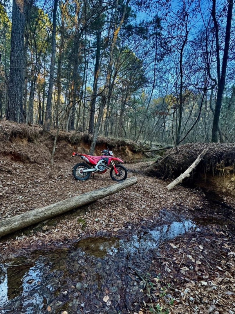 Life is rough. Enjoy it while you can!