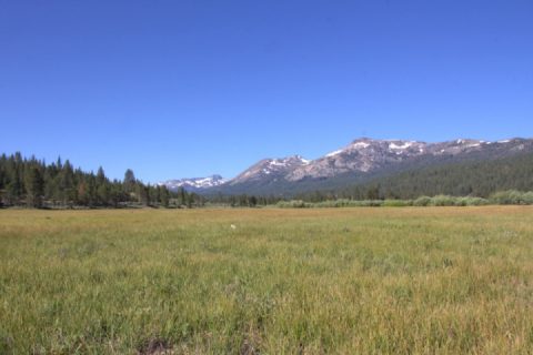 The ST4s wouldn't start