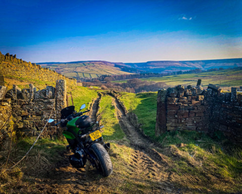 Ninja run out of road ?