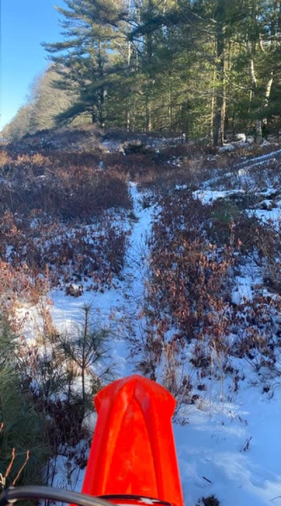 Had a case of the nom noms today