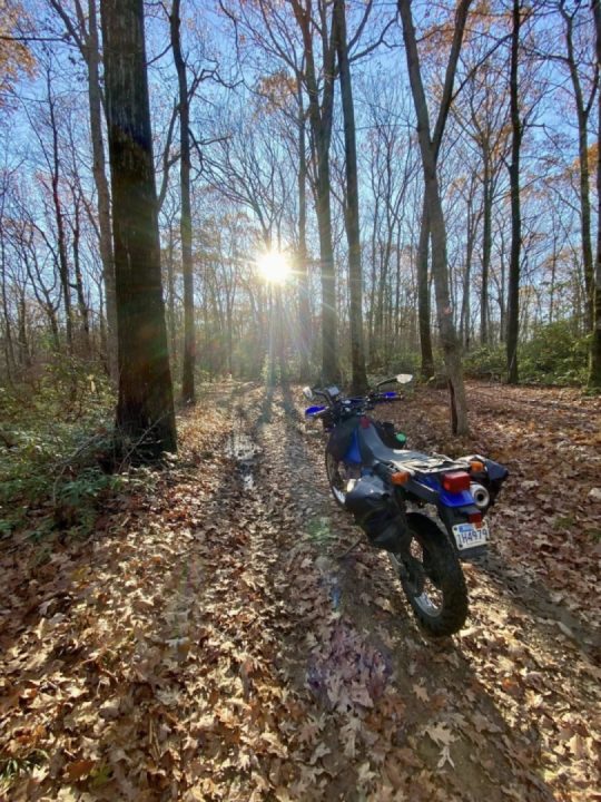 Blinded by the light