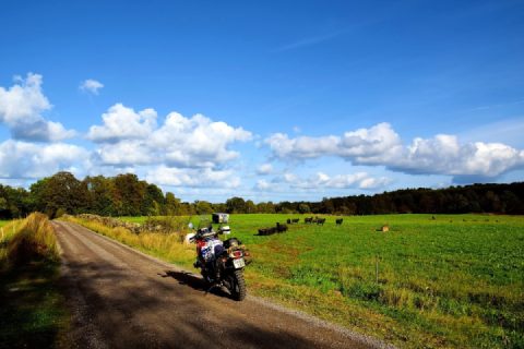 How I spent this afternoon  