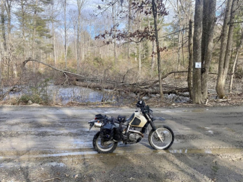 Running with the flock