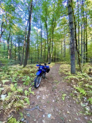 New 2 trails again