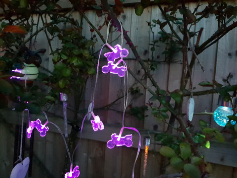 Summer nights & lights ?