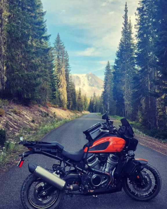 Been off the app a while, but I'm back!