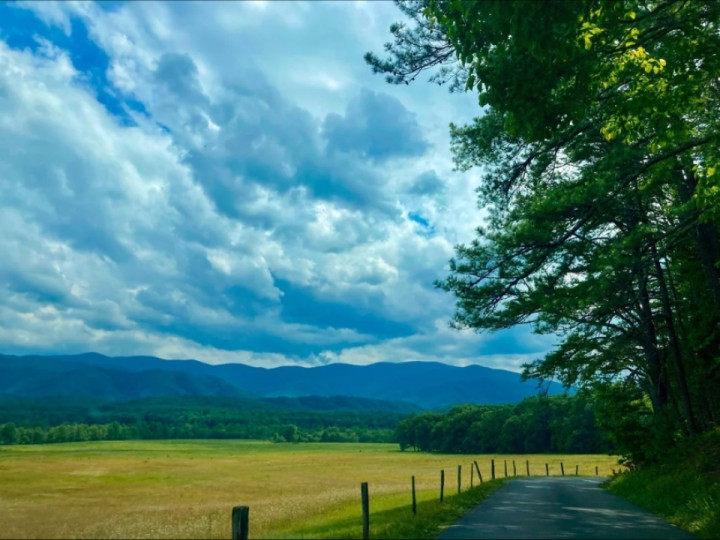 Summertime drive around Cades Cove