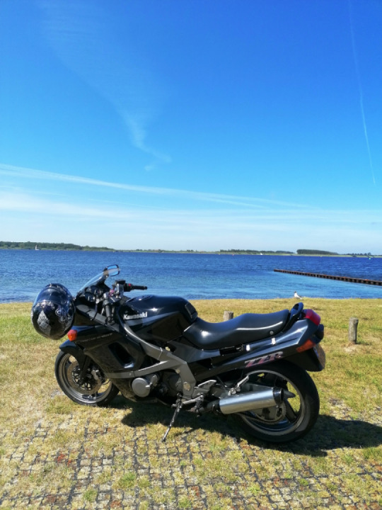 Motor ZZR 600 (94') trouble?