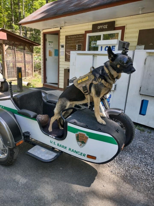 Breaks interstate park and handsome ranger.