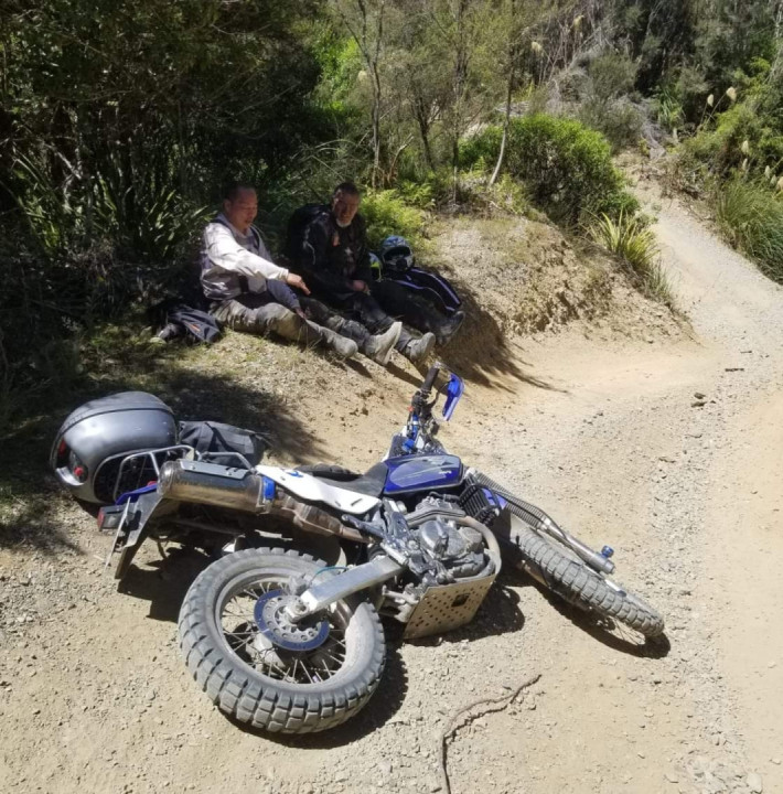 National park feb 2022