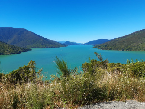 South Island of New Zealand trip