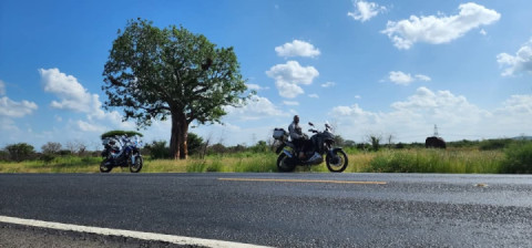 African Elephants  vs Africa Twins
