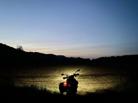 Don’t see doe? ‍♂️