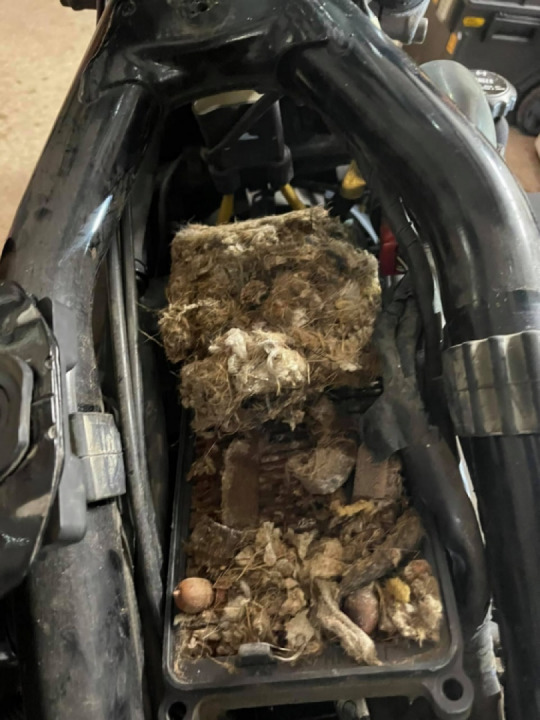 Finally got around to swapping out the air filter…think it was about time