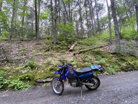 What goes up, must come down