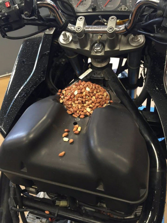 When you buy a bike and it doesn't start