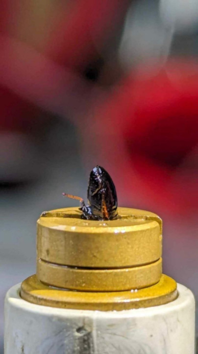 I need to upgrade my fuel filter...