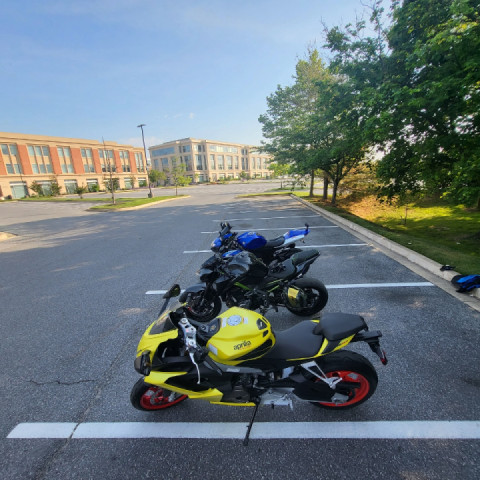 Once upon a time, 3 sad piggies when for a ride & they're not sad anymore ? !